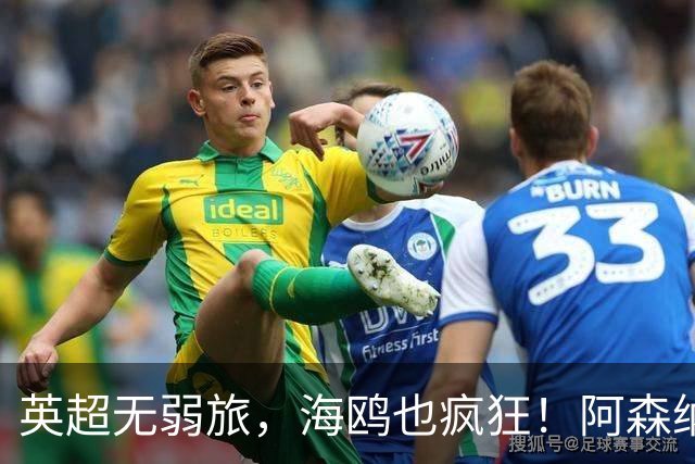 英超无弱旅，海鸥也疯狂！阿森纳3球惨败，拉亚成了远射背景板